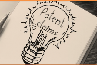 Use-Based and Functional Patent Claims under Vietnamese Intellectual Property Law: Between Statutory Neutrality and Restrictive Examination Practice